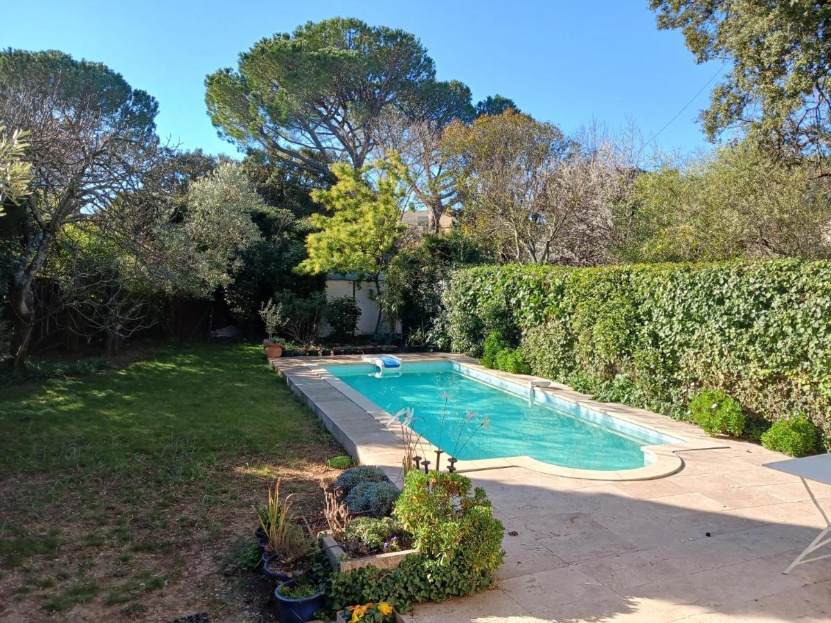 Studio Charmant Et Calme Villeneuve Les Avignon Entree Et Cour Independantes Climatisation Piscine Parking Extérieur photo